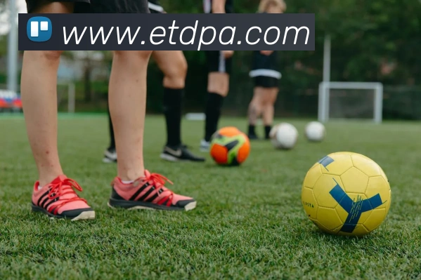 pa真人视讯APP 体育赛事宣传图